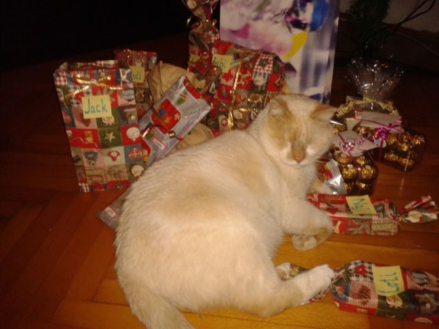 Slika