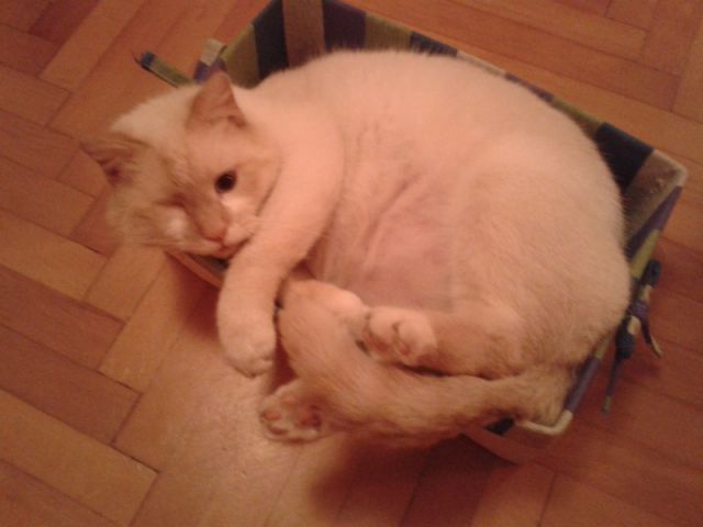 Slika