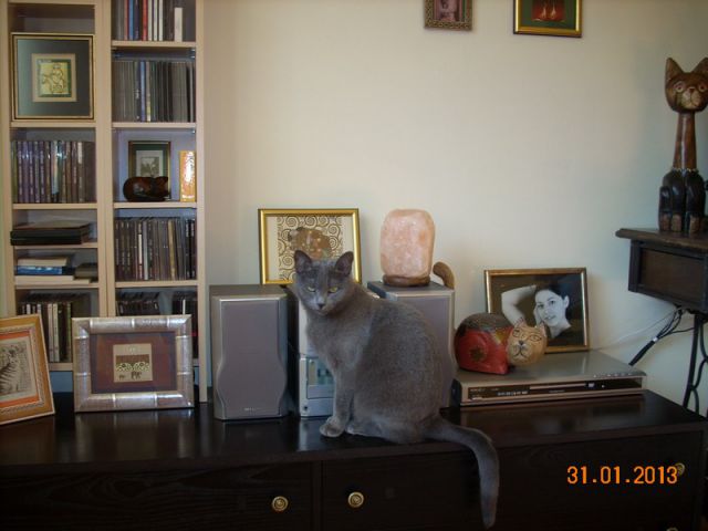 Slika