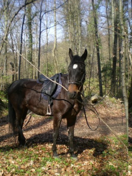 Pika na njen 15 roj. dan; za darilo je dobila podloženo, mehko in seveda drago podsedelnic