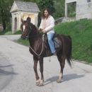Polnokrvni arabski žrebec T.M. Aikonos, lep eleganten in ubogljiv konjič!
