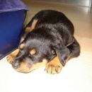 zzz....zzzz...zzz