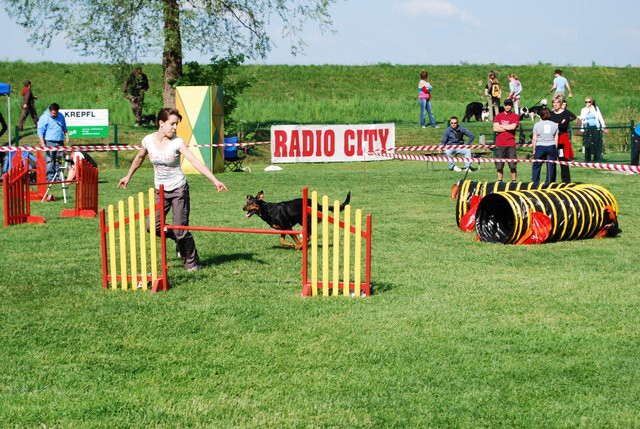 AGILITY- Klaj 2009 - foto