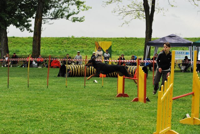 AGILITY- Klaj 2009 - foto