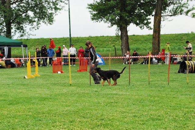 AGILITY- Klaj 2009 - foto