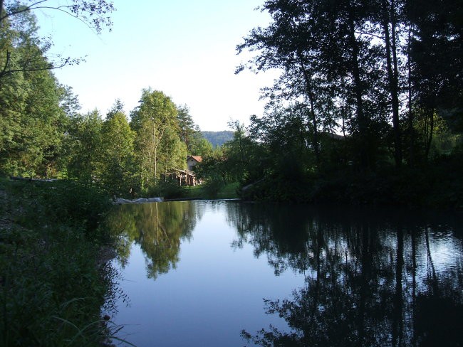 Narava - foto povečava