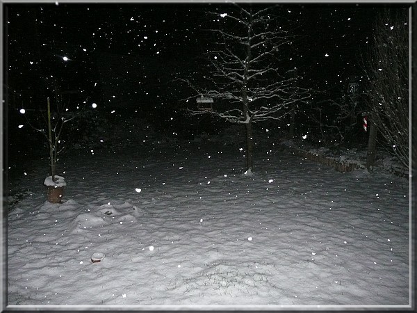 Gromov prvi sneg- 28.11.2008 - foto povečava