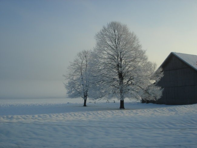 Yea - foto povečava