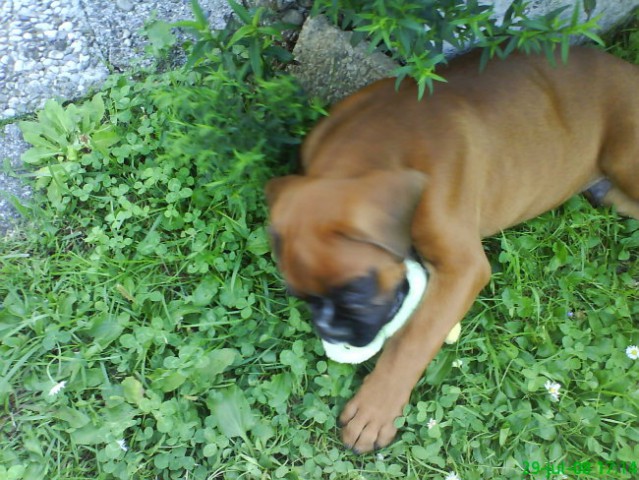 OTO  - foto