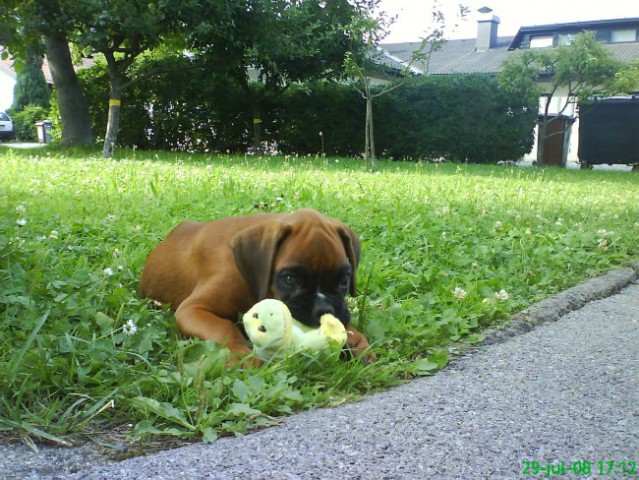OTO  - foto