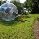 zorbing
get you in 
and ...