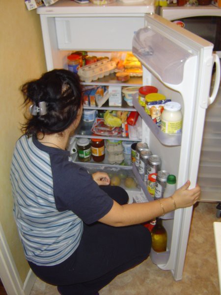 ...za pripravo nedeljskega kosila najprej potrebujete dobro zalozen hladilnik...