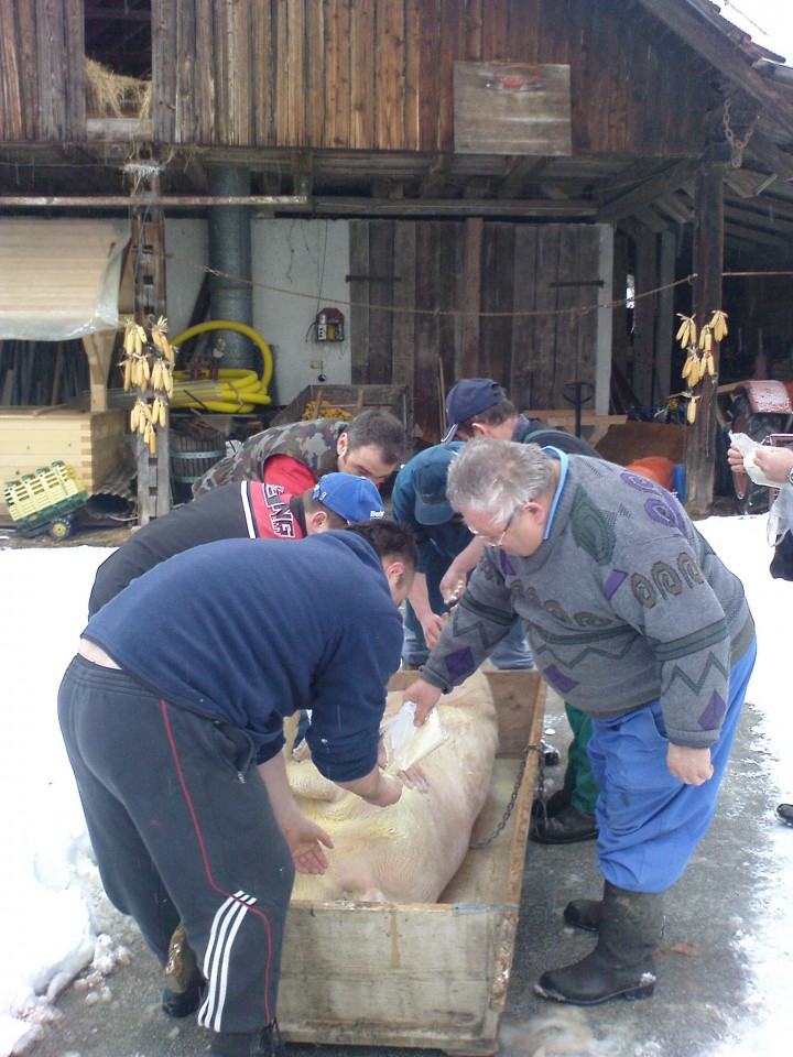 Gasilski furež 2009 - foto povečava