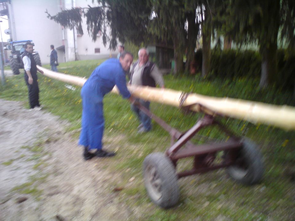 Postavljanje mlaja 2010 - foto povečava