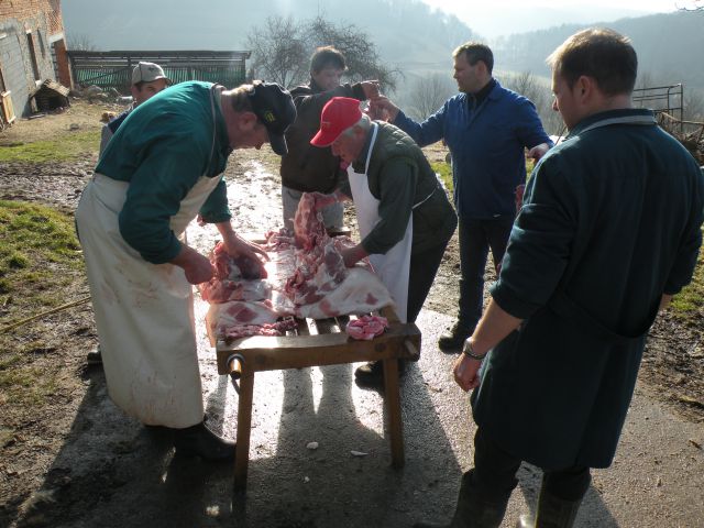 Gasilski furež 2011 - foto