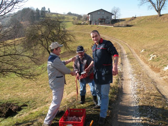 Gasilski furež 2011 - foto