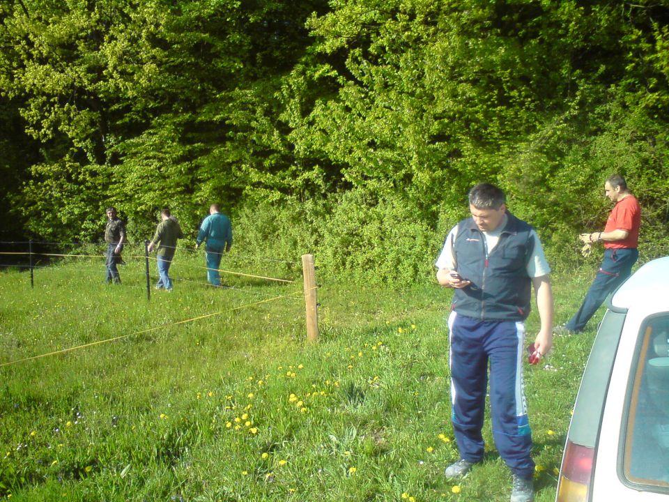 Postavljanje mlaja na Ponikvi 2011 - foto povečava