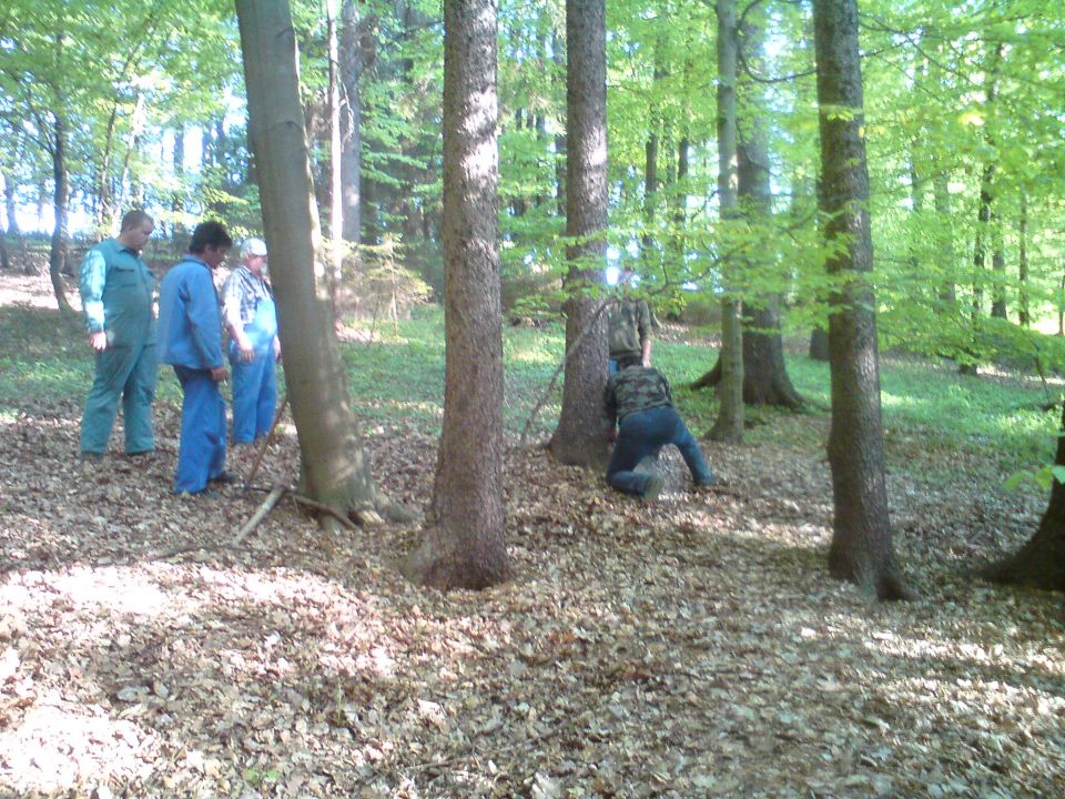 Postavljanje mlaja na Ponikvi 2011 - foto povečava