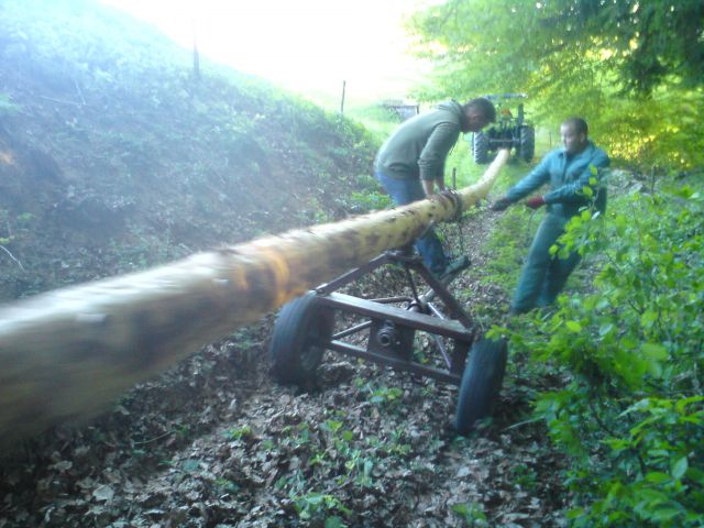 Postavljanje mlaja na Ponikvi 2011 - foto