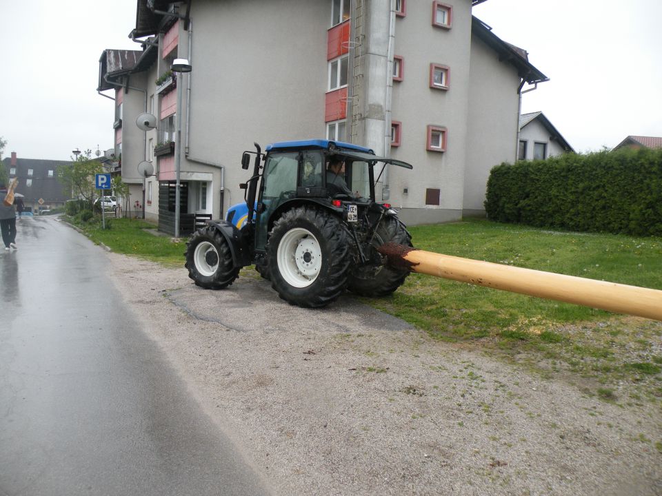 Postavljanje mlaja na Ponikvi 2011 - foto povečava