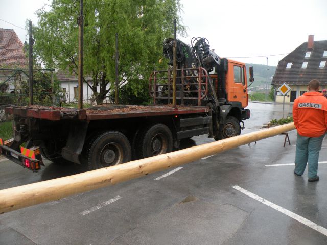 Postavljanje mlaja na Ponikvi 2011 - foto