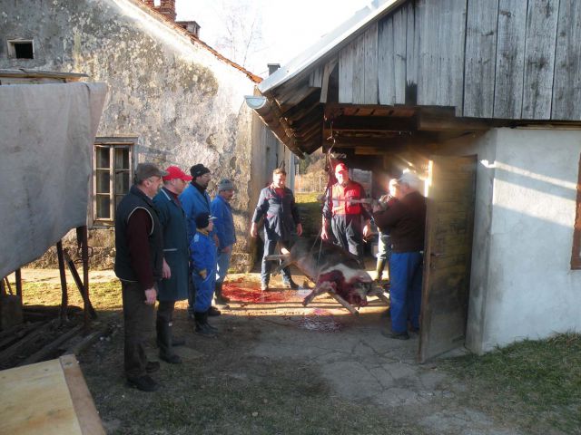 Gasilski furež 14.1.2012 - foto