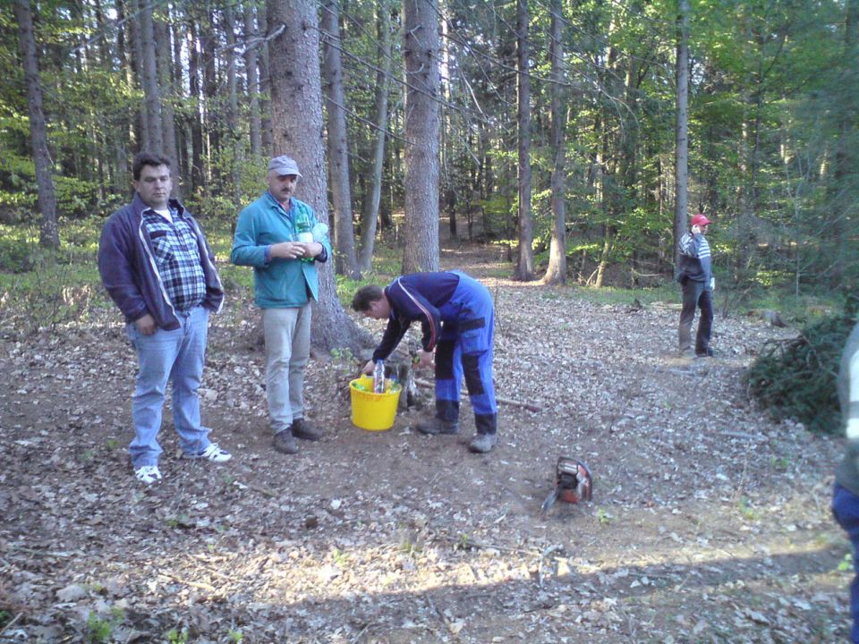 Postavljanje mlaja na Ponikvi 2012 - foto povečava