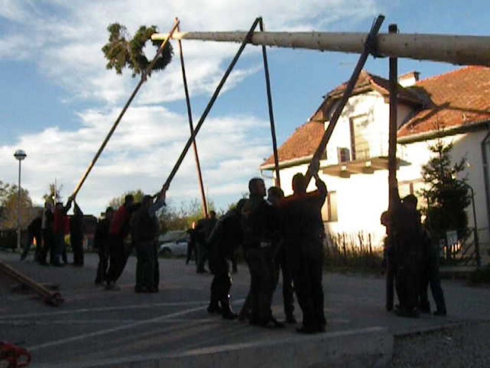 Postavljanje mlaja na Ponikvi 2012 - foto povečava