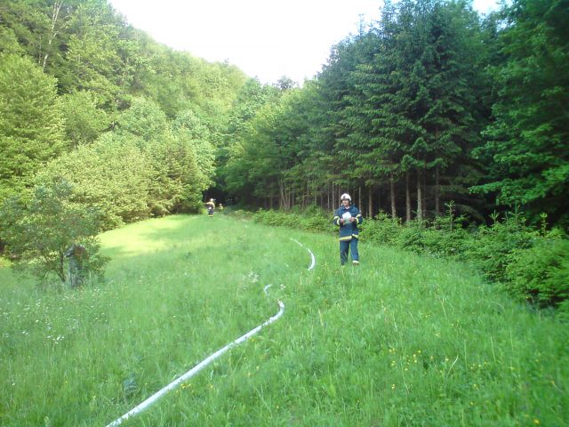 Vaja GZ Šentjur - PLANINA 25.5.2012 - foto