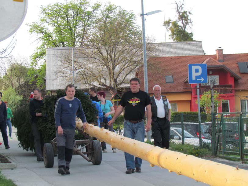 Postavljanje mlaja na Ponikvi - 26.4.2013 - foto povečava