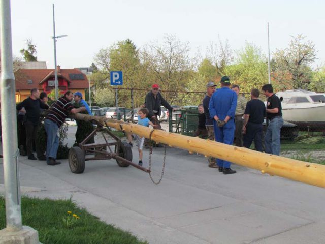 Postavljanje mlaja na Ponikvi - 26.4.2013 - foto