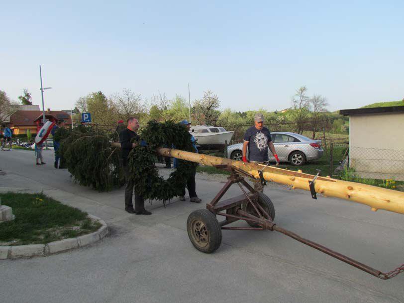 Postavljanje mlaja na Ponikvi - 26.4.2013 - foto povečava