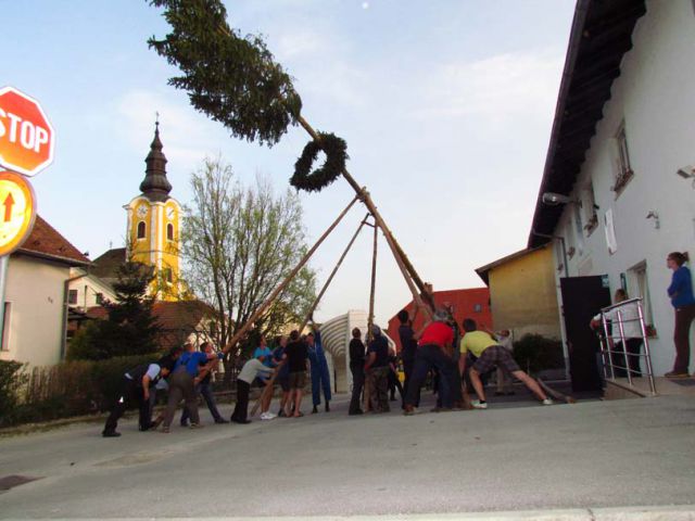 Postavljanje mlaja na Ponikvi - 26.4.2013 - foto