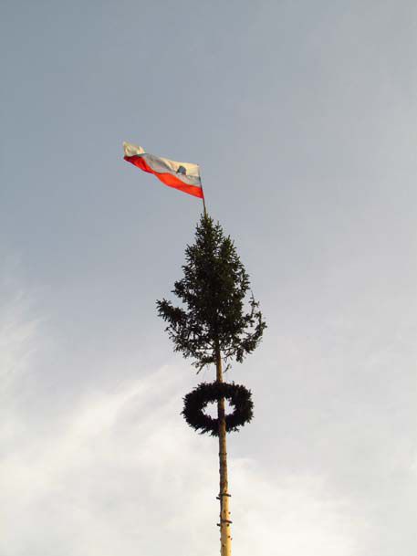 Postavljanje mlaja na Ponikvi - 26.4.2013 - foto povečava