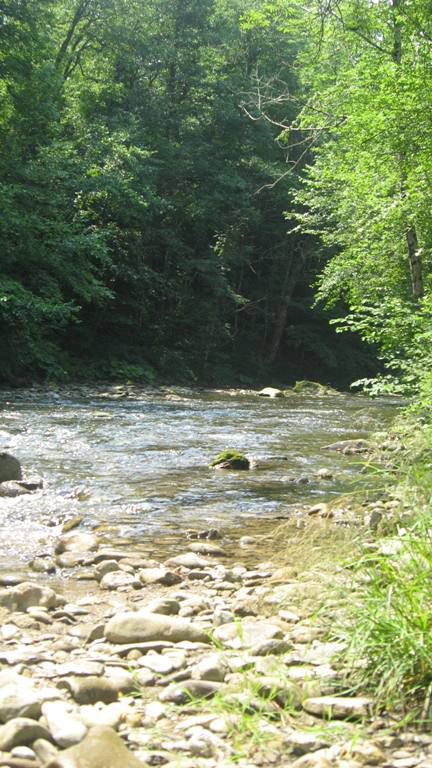 Osilnica 2010 - foto povečava