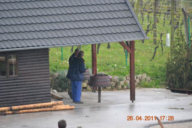 Postavljanje mlaja v Dolgi Gori - foto