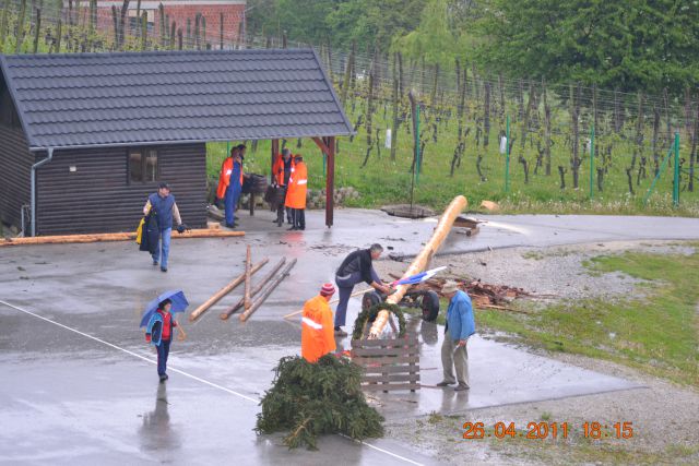 Postavljanje mlaja v Dolgi Gori - foto