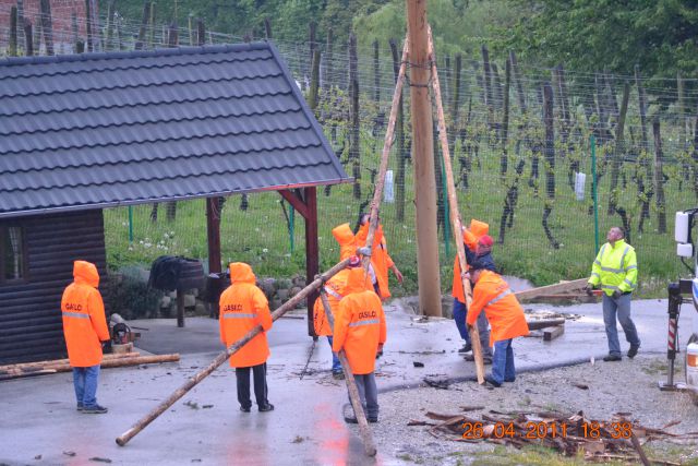 Postavljanje mlaja v Dolgi Gori - foto