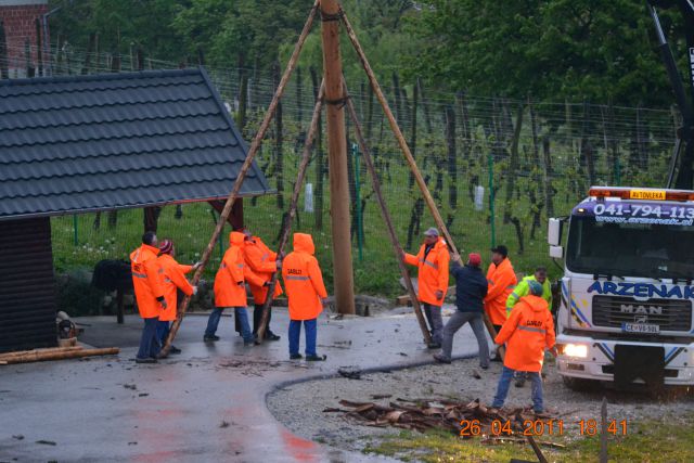 Postavljanje mlaja v Dolgi Gori - foto