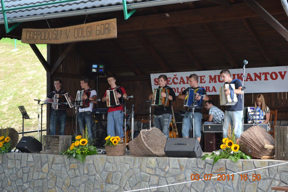 Srečanje muzikantov v Dolgi Gori 2011 - foto povečava