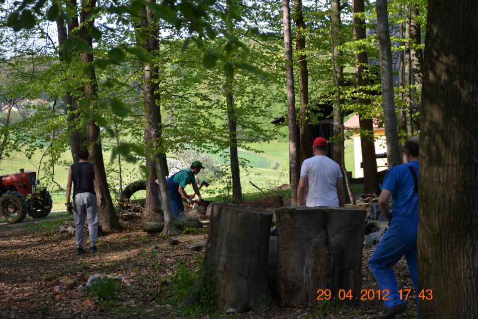Postavljanje mlaja 2012 - foto povečava