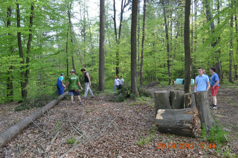 Postavljanje mlaja 2012 - foto povečava