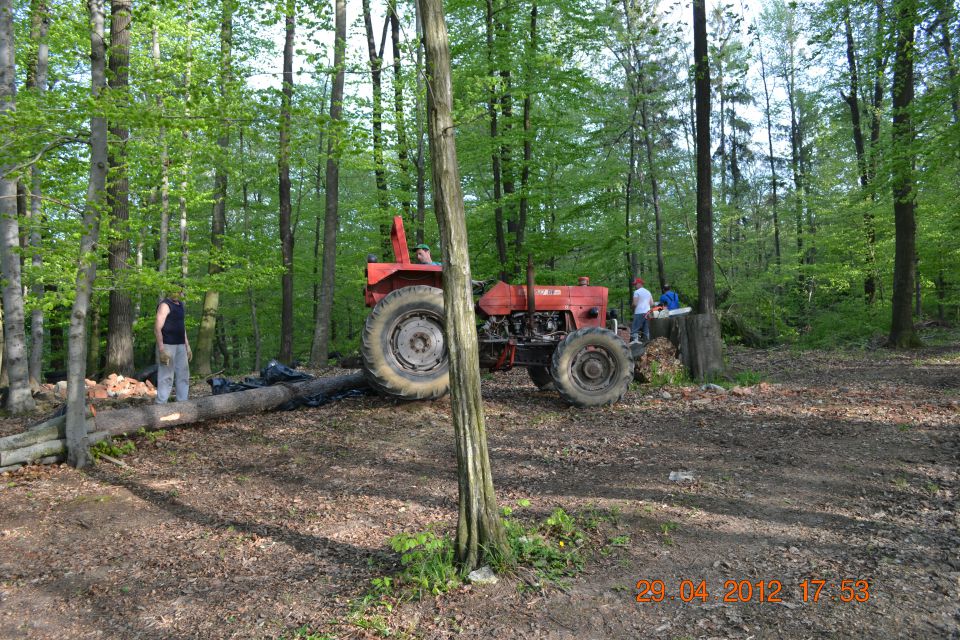 Postavljanje mlaja 2012 - foto povečava