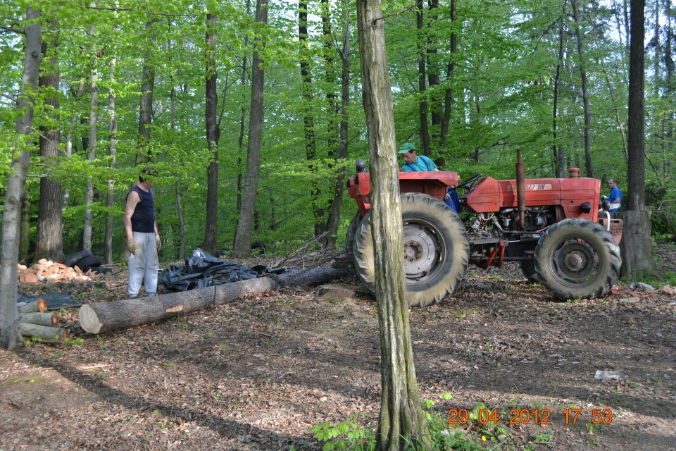 Postavljanje mlaja 2012 - foto povečava