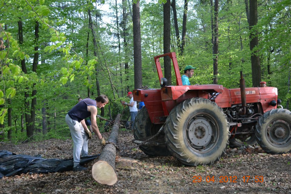 Postavljanje mlaja 2012 - foto povečava