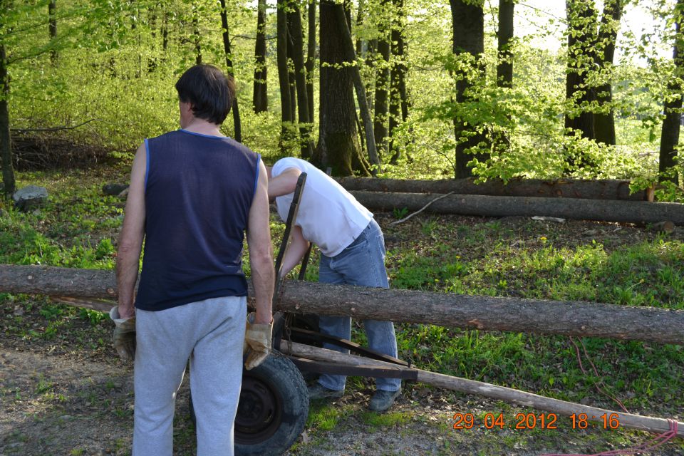 Postavljanje mlaja 2012 - foto povečava