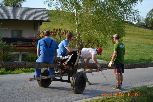 Postavljanje mlaja 2012 - foto