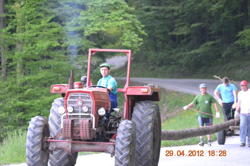 Postavljanje mlaja 2012 - foto povečava