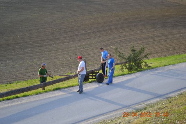 Postavljanje mlaja 2012 - foto