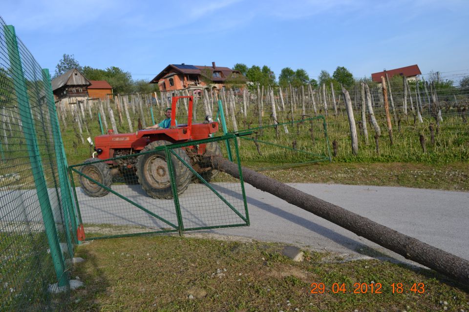 Postavljanje mlaja 2012 - foto povečava